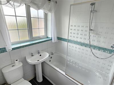Picture 11